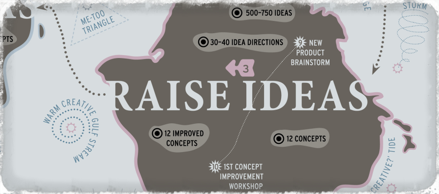 FORTH: Phase 3 – Raise Ideas